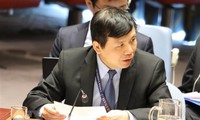 Vietnam chairs meeting of UNSC’s Informal Working Group on International Tribunals 