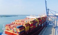 Cai Mep-Thi Vai port receives giant container vessel