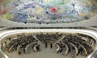Была принята резолюция, осуждающая нарушения прав человека в Сирии