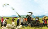 Повышение качества сельскохозяйственной продукции Вьетнама