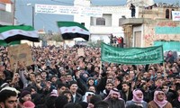 Решение ЛАГ о приостановке деятельности наблюдателей в Сирии