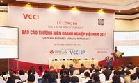 Очередной ежегодный доклад о вьетнамских предприятиях - 2011