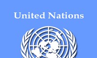 ООН активизирует Систему международных Конвенций по правам человека