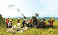 Оптимальный прирост сельского хозяйства Вьетнама в первом квартале 2012 года