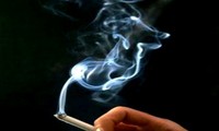 Вьетнам присоединился к акции «Всемирный день без табака-2012»