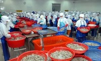 Активизация сотрудничества между Вьетнамом и Россией в сфере рыбного хозяйства