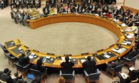 Совет безопасности ООН провел закрытое заседание по Сирии