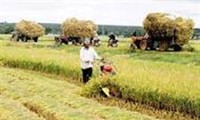 Приоритетные направления развития сельского хозяйства, деревни и крестьянства...