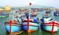 Построение морской экономики Вьетнама