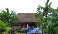Уезд Намдонг прилагает совместные усилия для строительства новой деревни
