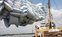Общий объём экспорта риса составил 4 миллиона тонн
