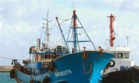 Рыболовецкие компании КНР нарушают закон об иностранных инвестициях в РФ