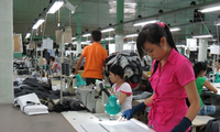 Программа ликвидации трудностей вьетнамских предприятий