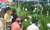 Открылась торговая и сельскохозяйственная ярмарка дельты реки Меконг – 2012