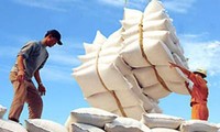 Объём экспорта продукции Вьетнама составил более 18 млрд долларов