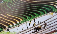 Объекты вьетнамского наследия в фотографиях