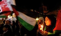 Общественность приветствует достижение Израилем и ХАМАС соглашения о перемирии