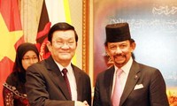 Президент Чыонг Тан Шанг успешно завершил государственный визит в Бруней