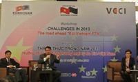 Огромные перспективы экономического сотрудничества между Вьетнамом и ЕС