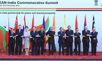 Участие премьер-министра СРВ Нгуен Тан Зунга в саммите АСЕАН-Индия