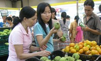В 2013 году во Вьетнаме высокого роста инфляции не будет