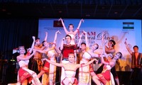 В Дели завершился Год вьетнамо-индийской дружбы 2012