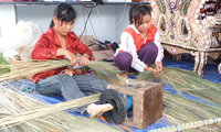 В провинции Фуиен ещё 4507 крестьянских дворов будут выведены из бедности