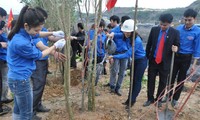 По всей стране проводится кампания посадки деревьев в Новом году