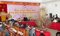 Вьетнамские эмигранты уделяют большое внимание проекту исправленной Конституции