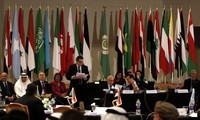 Главы МИД арабских стран обсудили сирийский кризис