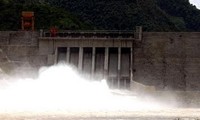 Вьетнам и Новая Зеландия изучают управление безопасностью плотин