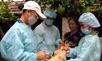 Сотрудничество в профилактике и борьбе с болезнями, передающимися человеку от животных