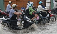 Подведены итоги работы по борьбе с тайфунами и наводнениями