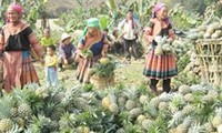Вьетнам является примером в ликвидации голода и нищеты
