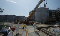 На японской АЭС «Фукусима» обнаружены новые следы радиоактивного элемента