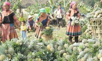 О мерах по устойчивому сокращению бедности во Вьетнаме