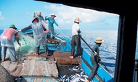 Программа «Рыболовные сети в поддержку рыбакам островов Хоангша и Чыонгша - 2013»