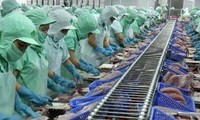За 6 месяцев объём экспорта пангасиуса из Вьетнама составил около $800 млн