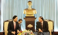 Укрепление отношений сотрудничества и дружбы между Вьетнамом и Японией