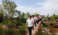 Усиление производственной структуризации в уездах провинции Чавинь