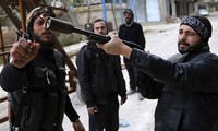 Россия критикует Запад за создание препятствий расследованию применения химоружия в Сирии