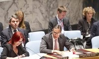 Совбез ООН провел заседание, посвящённое ситуации на Ближнем Востоке
