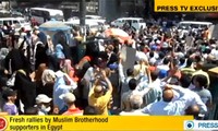 Египетские исламисты готовят массовые уличные шествия