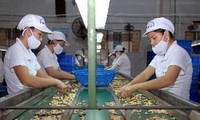 Вьетнам активизирует экспорт товаров в Европу через Чехию