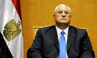 Временный президент Египта обязался выполнить дорожную карту политического урегулирования