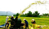 Вьетнамские предприятия участвуют в строительстве новой деревни