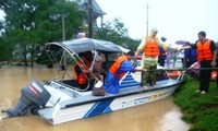 Вьетнам и Япония обмениваются опытом в борьбе со стихийными бедствиями