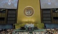 Вьетнам вносит активный и ответственный вклад в работу ООН