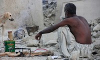 Пакистан: число жертв землетрясения возросло до 515 человек