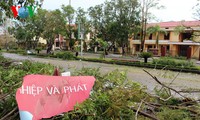Из-за тайфуна «Вутип» в Центральном Вьетнаме погибли 5 человек и 140 ранены